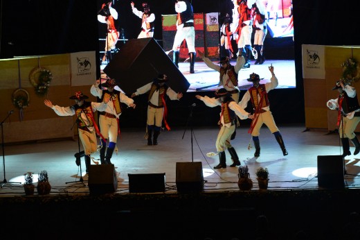 8. SFFS Dambořice, folklorní festival 2022