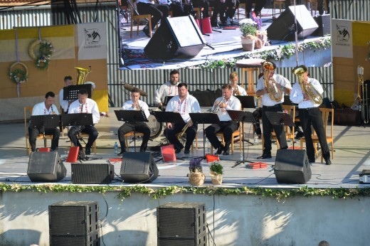 8. SFFS Dambořice, folklorní festival 2022