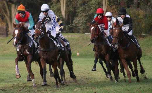 Dostihy 2013 - Pardubice