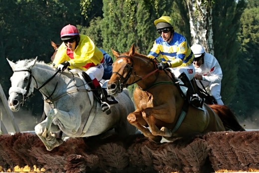 Jan Blecha, foto: Dostihový spolek