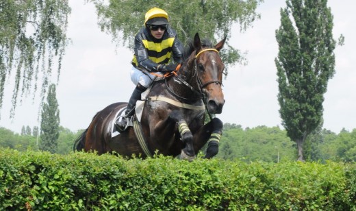 Jan Blecha, foto: Dostihový spolek