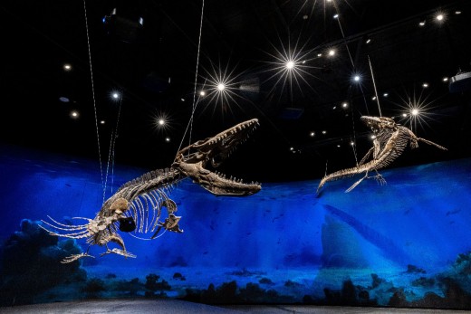 Štěpán Pícha, foto: archiv