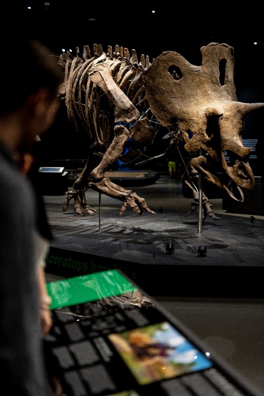 Štěpán Pícha, foto: archiv