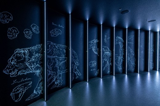 Štěpán Pícha, foto: archiv