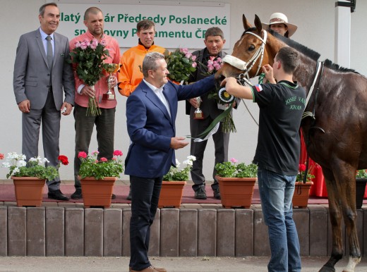 Zlatý pohár