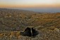 Judská poušť v Izraeli