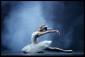 Moscow City Ballet vystoupí v Praze ve dvou termínech