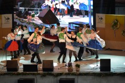 Ohlédnutí za 8. folklorním festivalem v Dambořicích